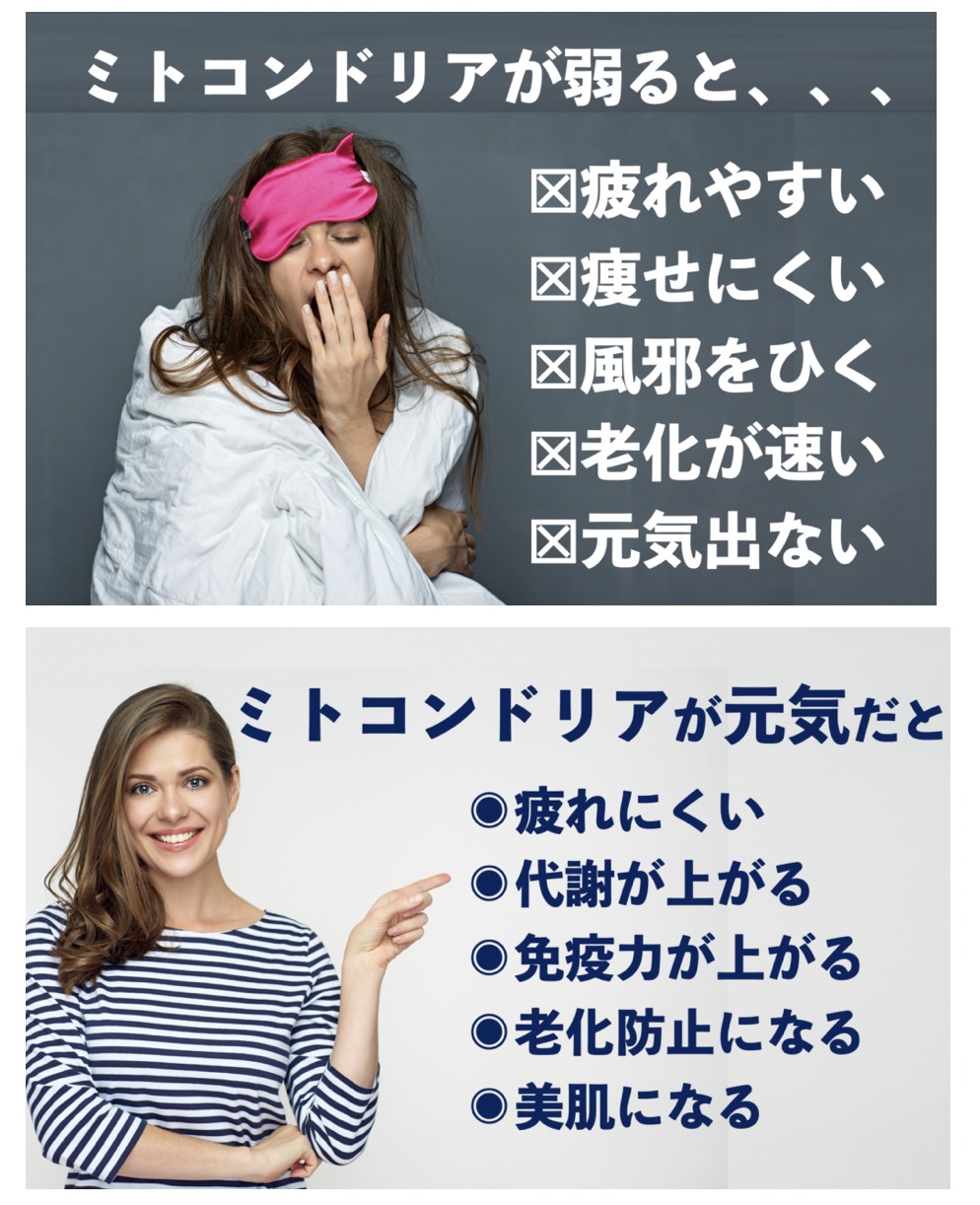 ミトコンドリアキッチン