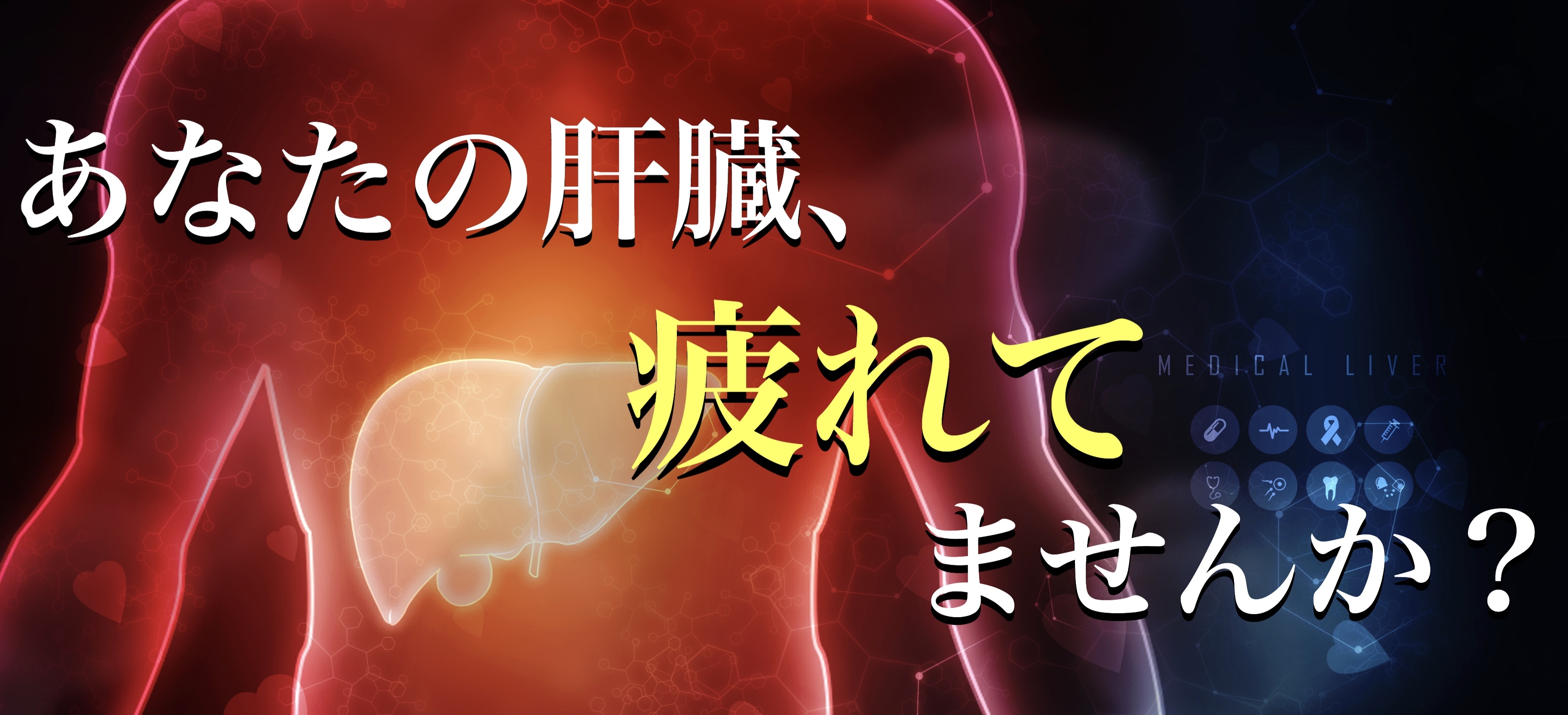 肝臓